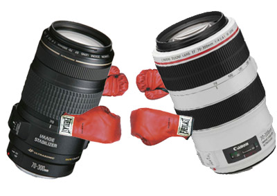 Canon EF mm f.6L IS USM Lens vs. Non L Lens Comparison